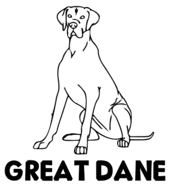 Great Dane